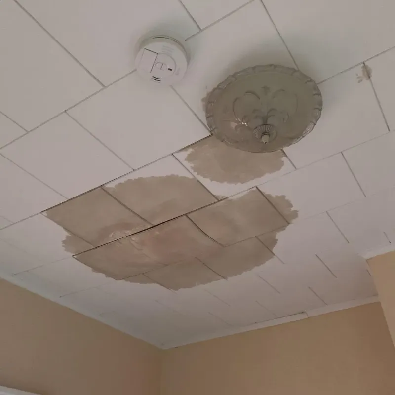 Ceiling Water Damage Repair in Collinsville, CT