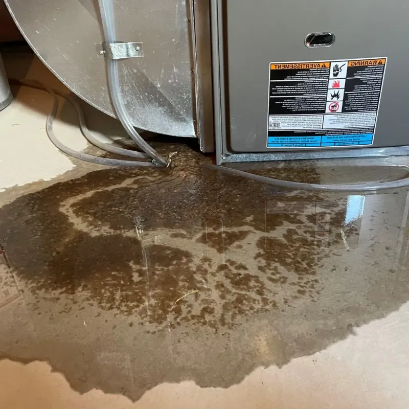 Pipe Burst and Leak Restoration in Collinsville, CT