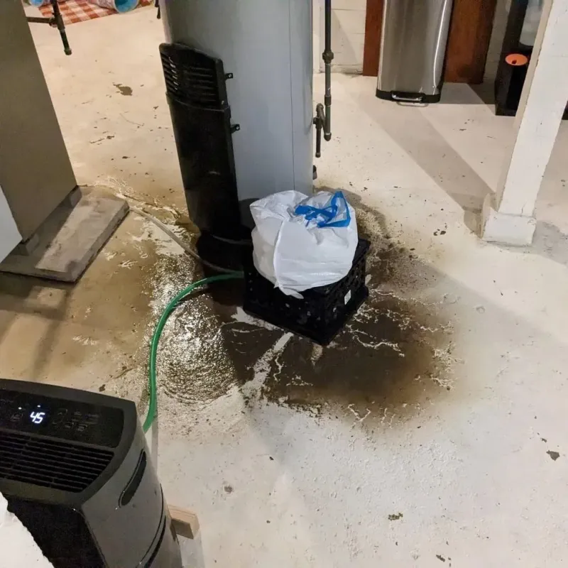 Sewage Backup Cleanup Service in Collinsville, CT